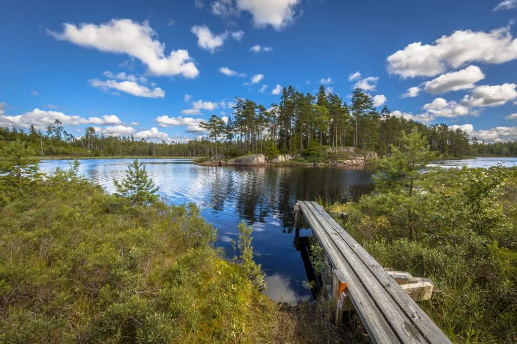Svensk geografi